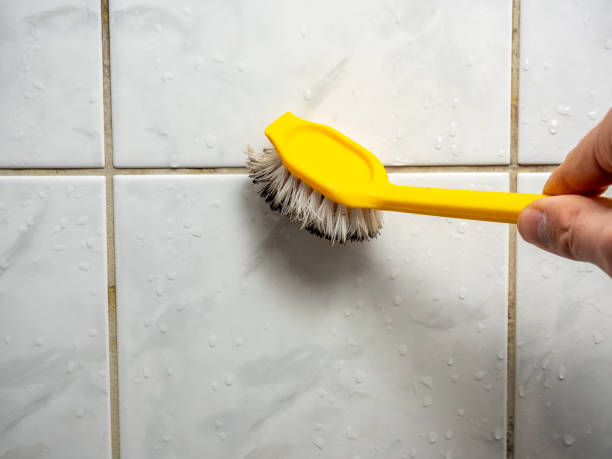  Fowler, MI Mold Removal Pros