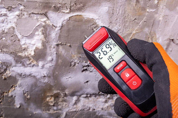 Best Mold Testing and Inspection Services in Fowler, MI