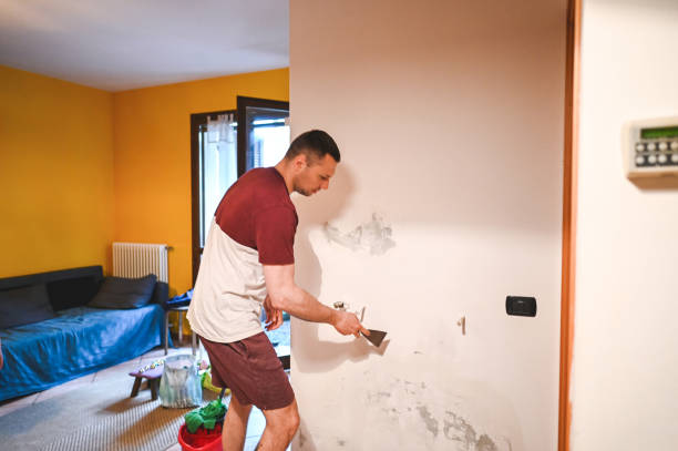 Best Basement Mold Remediation in Fowler, MI